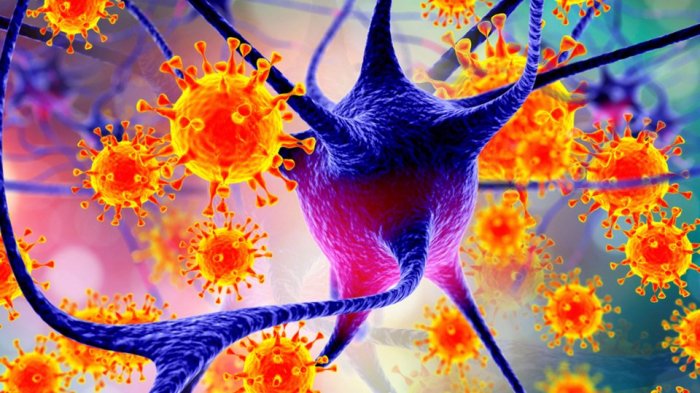   Impfstoff gegen das Nipah-Virus wird im April an Menschen getestet  