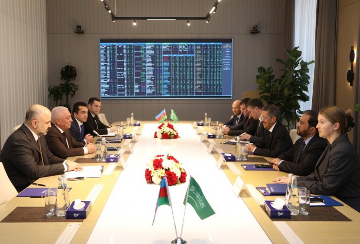 “AzərEnerji” və “ACWA Power” rəhbərlərinin görüşü olub  

