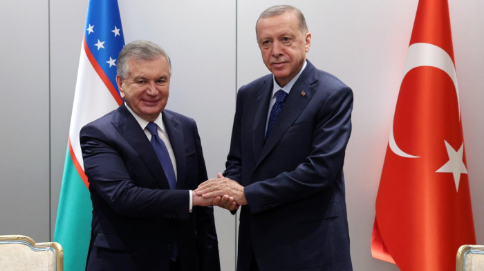   Mirziyoyev lud Erdogan zu einem Besuch in Usbekistan ein  