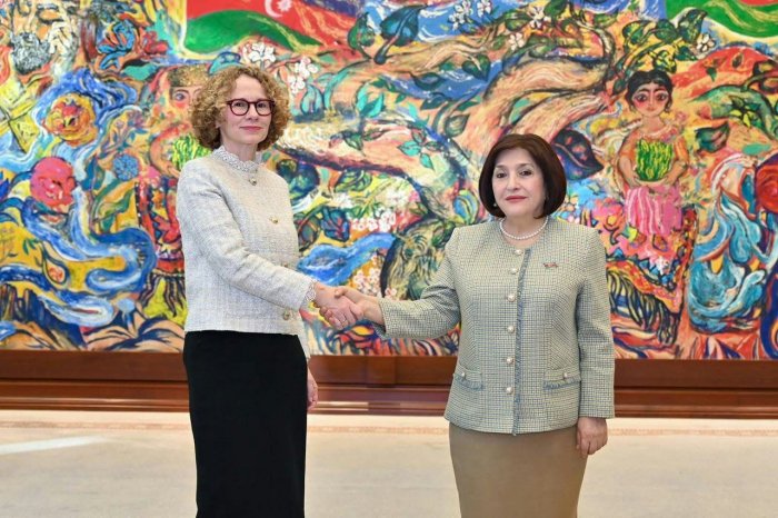 Azerbaijani Parliamentary Speaker meets with NATO Deputy Secretary General