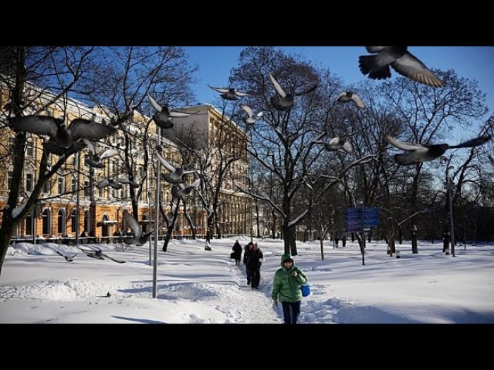   Heaviest snowfall in 200 years blankets Moscow, disrupting daily life -   NO COMMENT    
