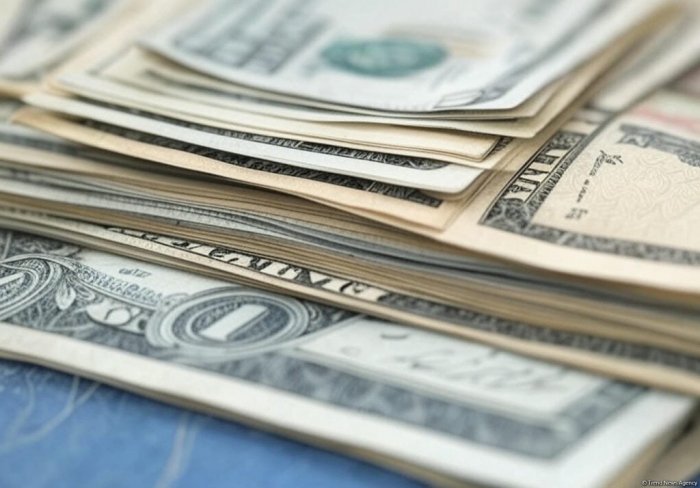 Ötən il Dövlət Neft Fondunun aktivləri 73 milyard dolları ötüb  
