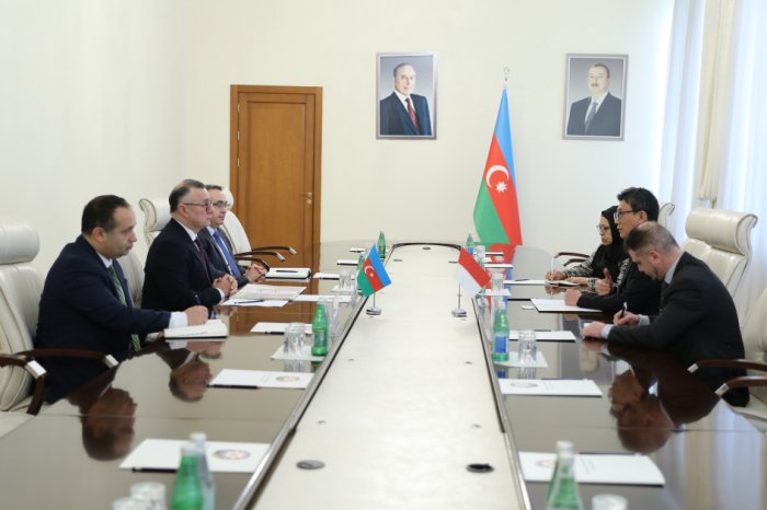 Azerbaijan, Indonesia discuss healthcare cooperation