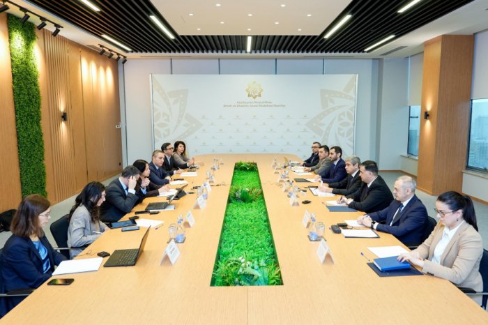  Azerbaijan, IMF delegation discuss pension reforms and labor market innovations 