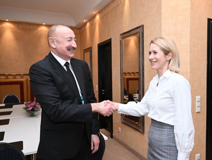 President Ilham Aliyev met with the European Union