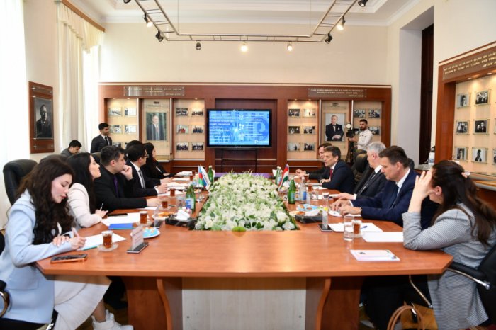 Azerbaijan, Hungary explore educational cooperation