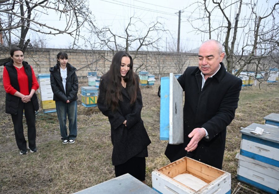   Leyla Aliyeva besucht Imkerfamilie in Guba  