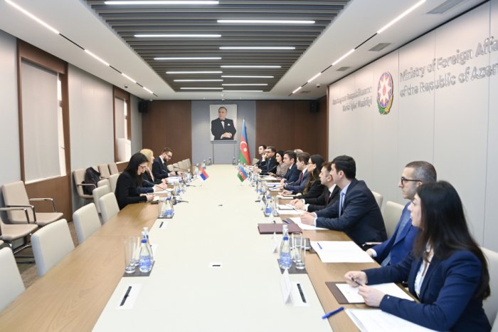 Azerbaijan, Serbia hold political consultations