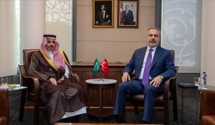 Turkish, Saudi foreign ministers discuss regional issues