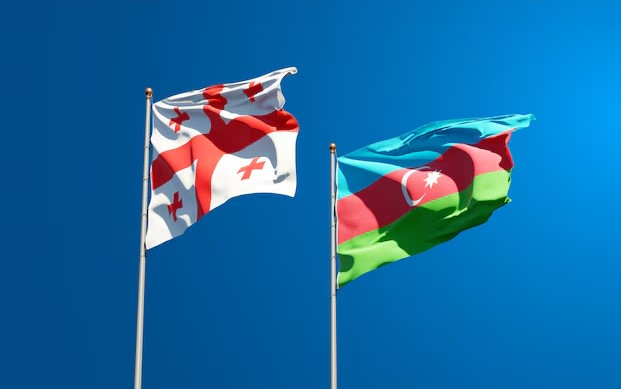   Aserbaidschan hat sich mit den Erfahrungen Georgiens im Bereich der Finanzkontrolle vertraut gemacht  