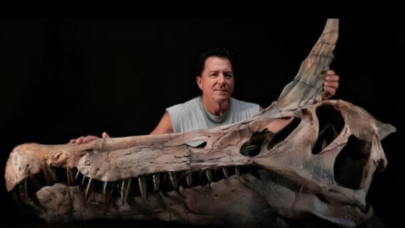 Descubren en el Sahara un dinosaurio 