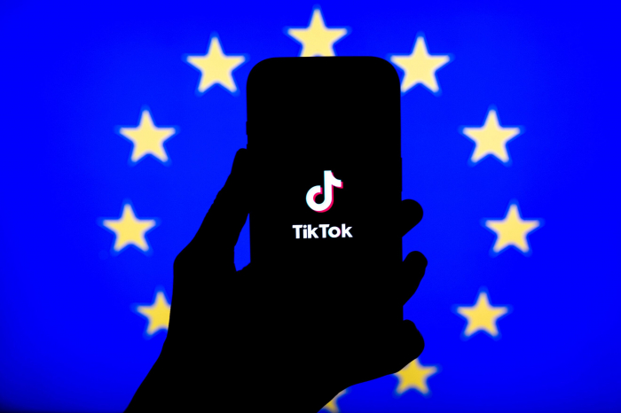 EU lawmakers request TikTok probe into alleged censorship over Epstein files