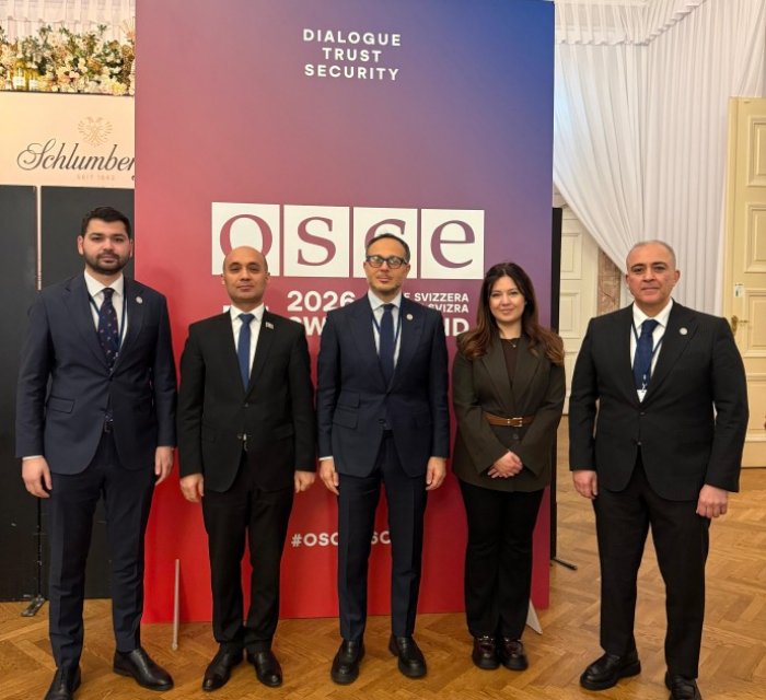 TURKPA delegation takes part in second day of Winter Meeting of OSCE PA in Vienna