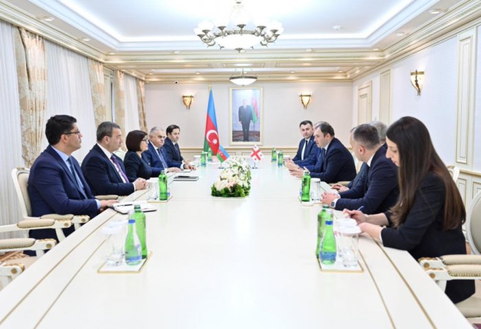  Se debatieron las relaciones interparlamentarias entre Azerbaiy&aacute;n y Georgia 