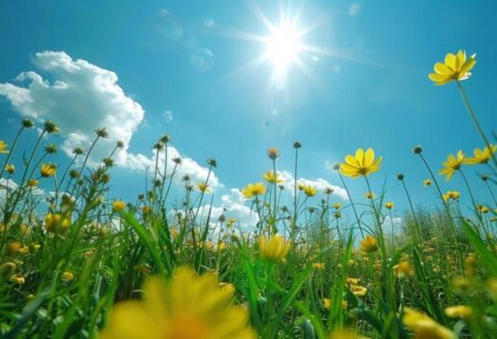 Temperatur  25 dərəcəyə  yüksələcək 