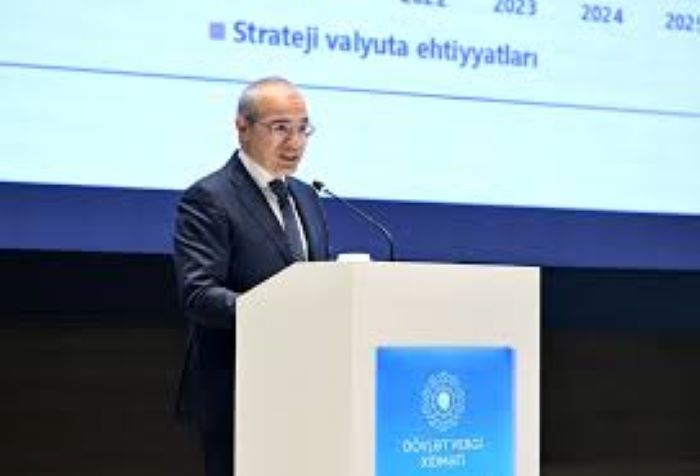 Qeyri-neft-qaz sənayesinə investisiyalar artıb