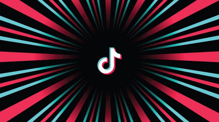 Qadın səsinin ucaldığı məkan: TikTok-dakı azərbaycanlı yaradıcıları tanıyaq