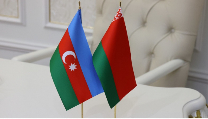 Azərbaycan və Belarus sürücülük vəsiqələrini qarşılıqlı tanıyacaq