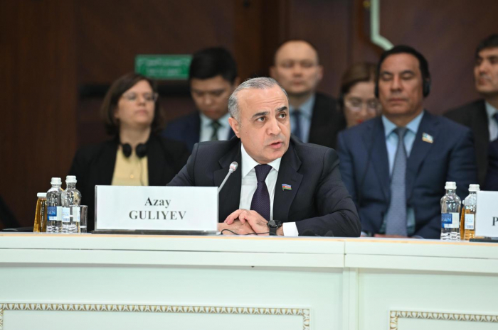 Azay Quliyev Astanada vacib məsələlərə toxunub