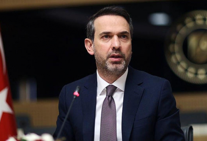 "Elektrik TANAP-i"na maraq artır -    Alparslan Bayraktar    