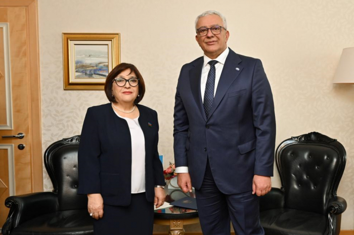 Sahibə Qafarova Monteneqro parlamentinin sədri ilə görüşüb