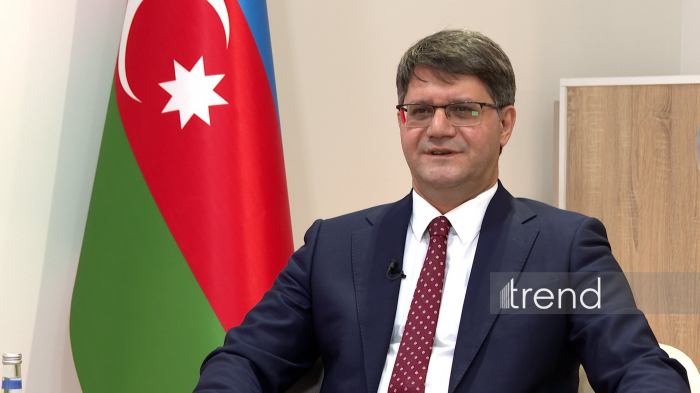Cəbrayılda ildə 2 milyon ağac tingi yetişdiriləcək