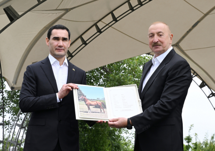    Türkmənistan Prezidentinə Qarabağ atı hədiyyə edilib   