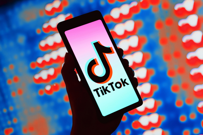 Brendlər üçün imkanlar: TikTok “Cannes Lions” 2026- da yeni kreativ həllərini təqdim etdi