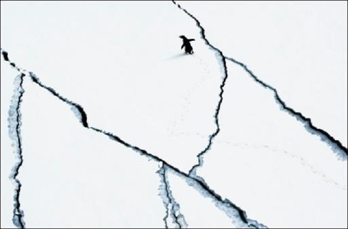 Forscher warnen von irreversiblem Abschmelzen der Antarktis