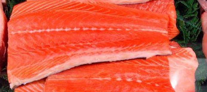 U.S. clears genetically modified salmon for human consumption