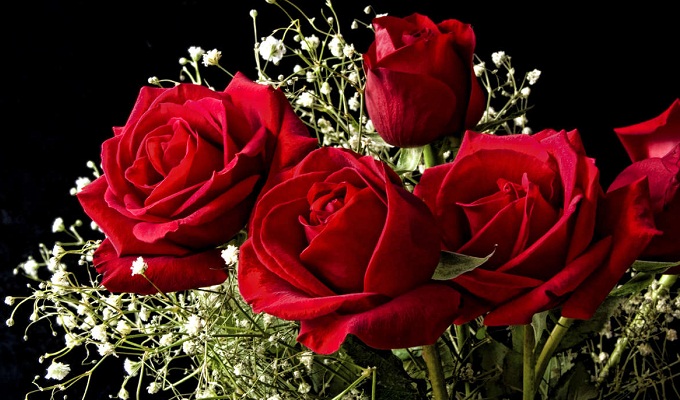 Scientists create electronic circuits in living roses