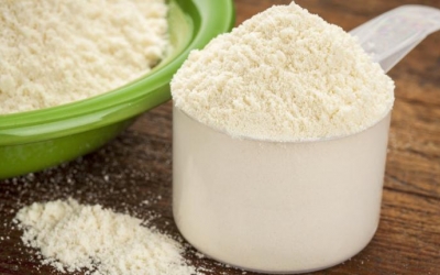 Whey Protein Before Meals Helps Diabetics, Promotes Insulin Response