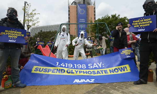 Pas d`accord à Bruxelles pour le renouvellement du glyphosate