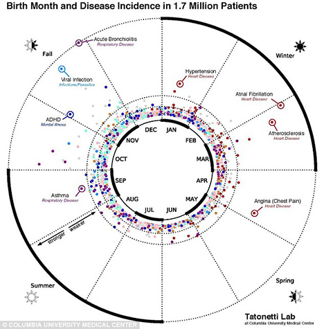 Study finds your birth month DOES affect your health - VIDEO, Chart