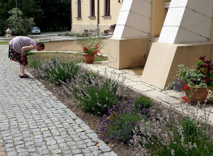 Un jardin suisse pour soigner des troubles psychiques en Pologne