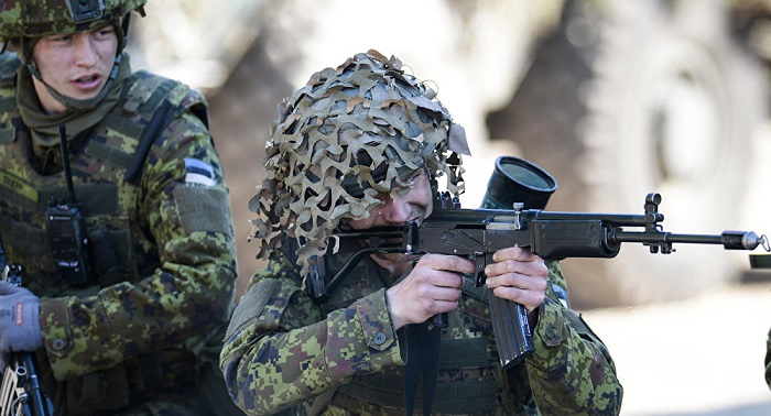 Gemäß dem Wiener Dokument: Russland und Nato prüften estnische Verteidigungskräfte