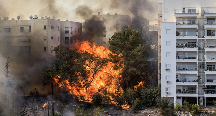 Waldbrände erreichen Haifa: Zehntausende auf der Flucht