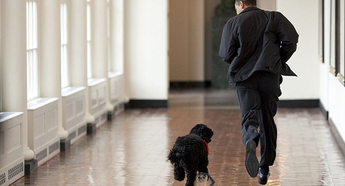 Gewaltausbruch im Weißen Haus: Obamas „Liebling“ beißt Teenager