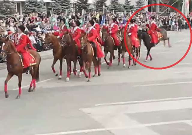 Freestyle statt Stechschritt: Kosaken-Pferd tanzt bei Siegesparade los