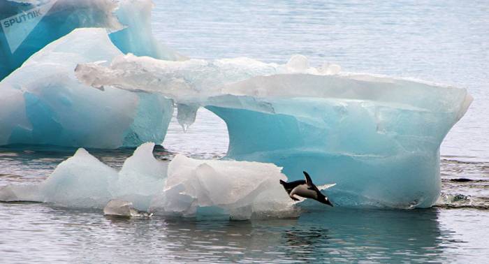 Eisberge in den Nahen Osten bringen? – Firma in Abu Dhabi weiß, wann