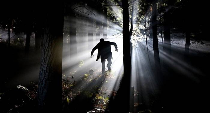Frankenstein 2.0: US-Firma experimentiert mit 20 Toten – und will diese wiederbeleben