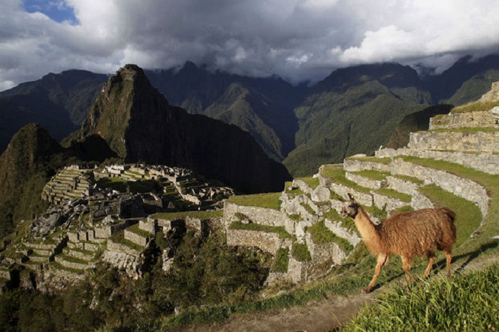 Pérou: mort d`un touriste au Machu Picchu