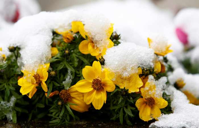 Easter snow in Germany - VIDEO