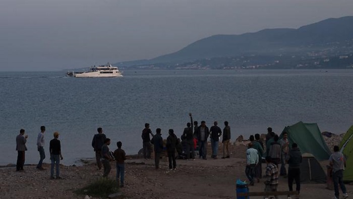 Polizei entdeckt 346 versteckte Migranten