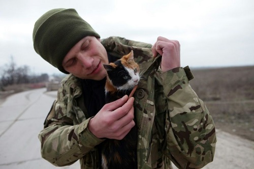 Ukraine: sur la ligne de front dans l`est, chiens et chats redonnent le moral aux combattants