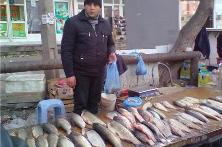 Bakıya gətirilən ətlər yoxlanılacaq