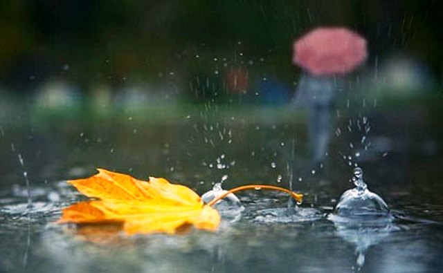 Yağışlı hava davam edəcək
