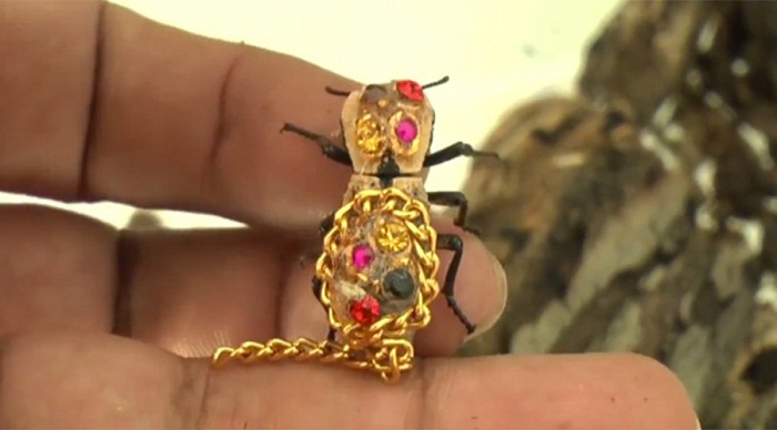 Beatle-dazzling: Live gem-covered beetles worn as jewelry - VIDEO