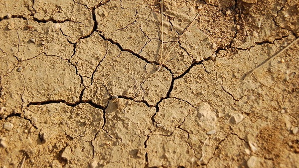 L`Algérie menacée par une importante sécheresse