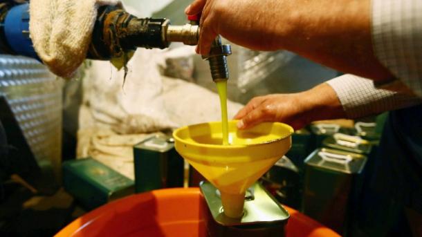 L`huile d`olive, une ingéniosité à toute épreuve